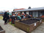 Spuds for Buddies St James pupils&nbsp;planting