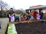 Spuds for Buddies St James pupils&nbsp;planting3